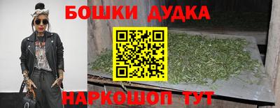 крисы Обь