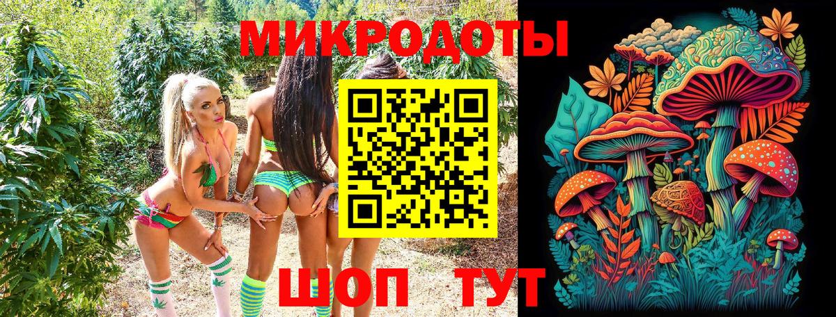 Сибай  Галлюциногенные грибы Psilocybe  Вход с VPN 